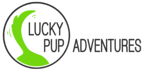 Lucky Pup Adventures